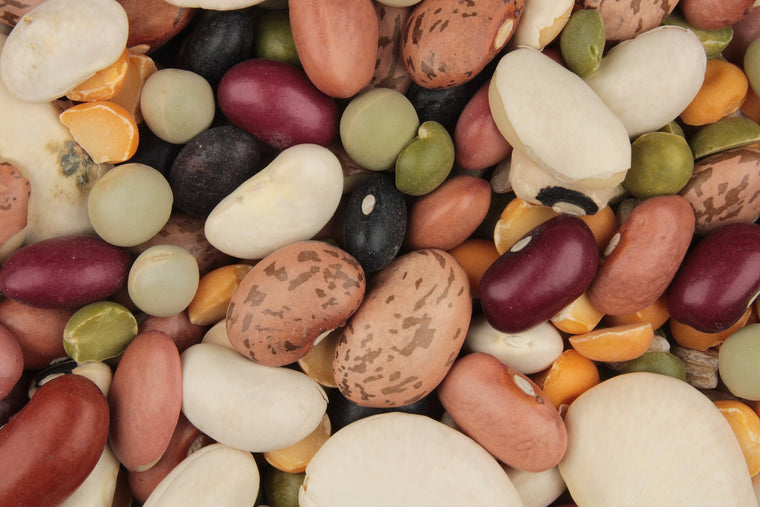 16 bean soup mix 03